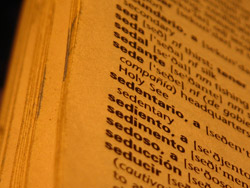 Spanish Dictionary
